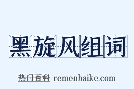 黑旋风组词是什么意思的图片